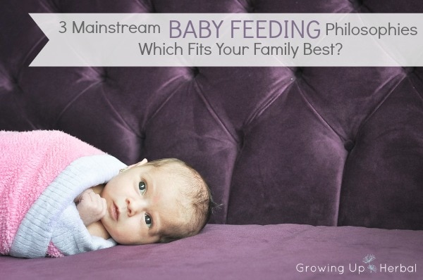 3 Mainstream Feeding Philosophies - Which Fits Your Family Best? | GrowingUpHerbal.com
