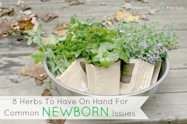 8 Herbs To Have On Hand For Common Newborn Issues | GrowingUpHerbal.com