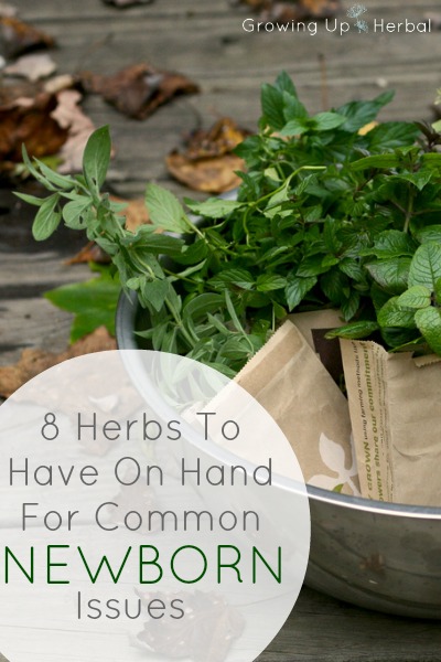 8 Herbs To Have On Hand For Common Newborn Issues | GrowingUpHerbal.com