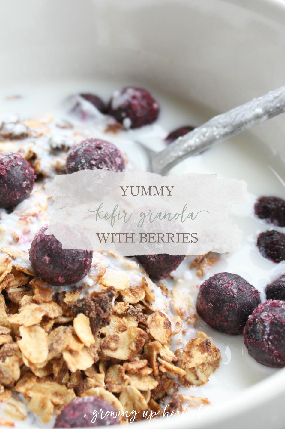 Yummy Kefir Granola with Berries | Growing Up Herbal | Health and convenience collide with this delicious, good for your gut breakfast of champions! Get the recipe here.