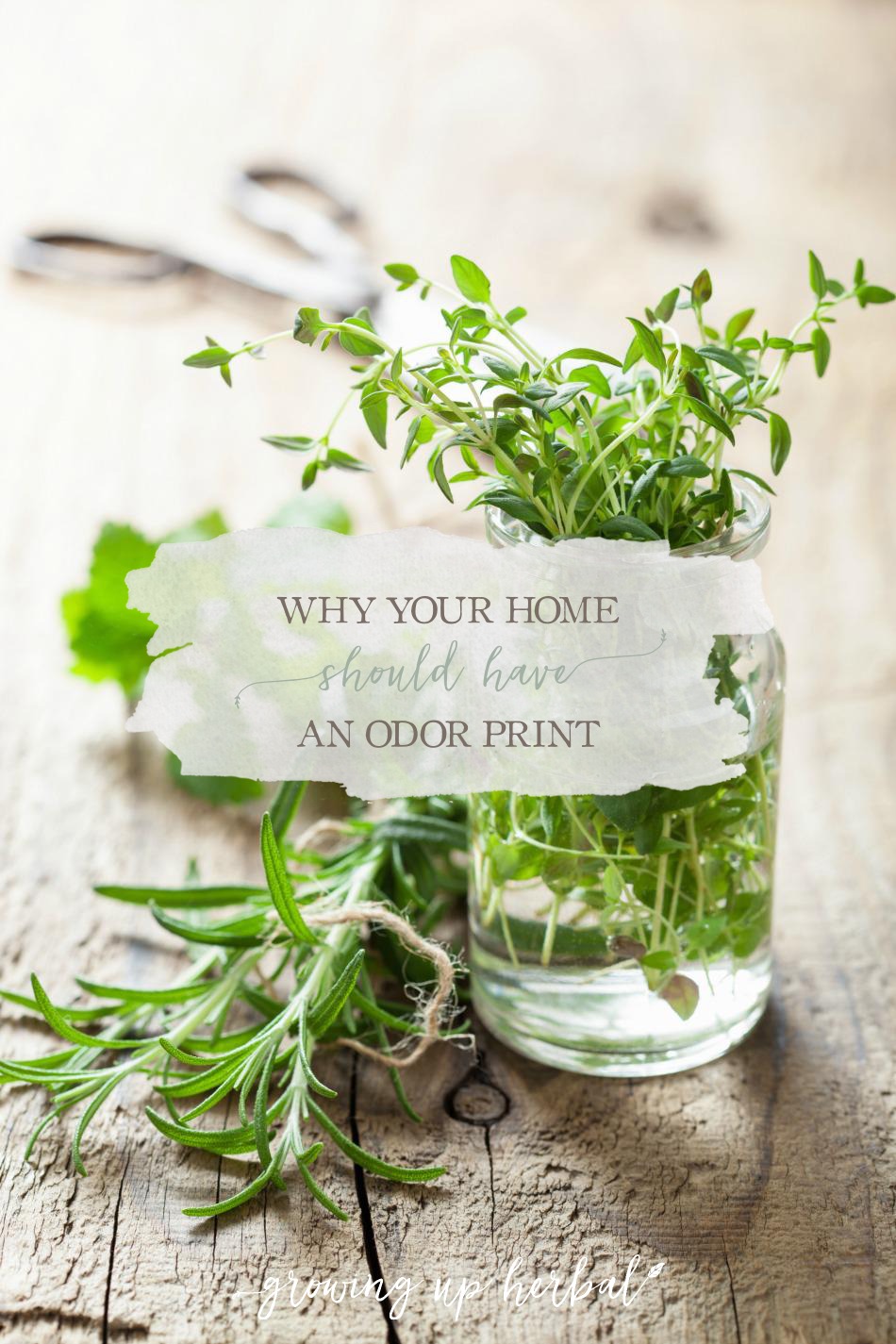 Why Your Home Should Have An Odor Print | Growing Up Herbal | Did you know that scents are linked to certain memories? Here's why you should create an odor print in your home.