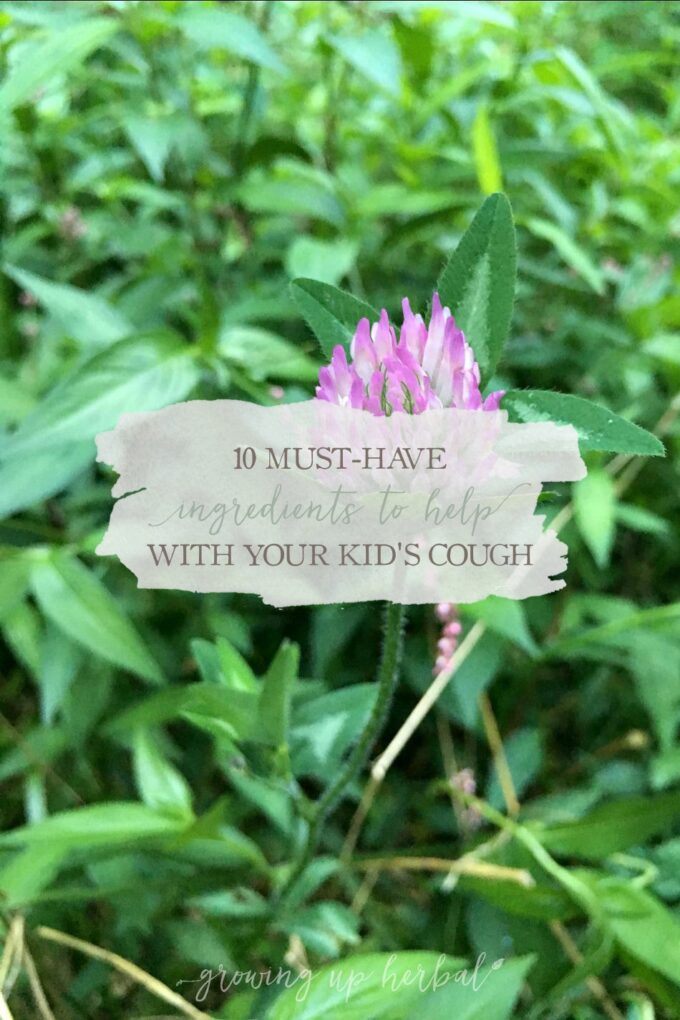 How To Use A Steam Vaporizer For Cough And Congestion