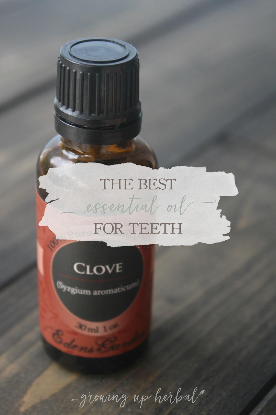 The Best Essential Oil for Teeth | GrowingUpHerbal.com | This is one of the best EOs for mouths. From pain relief to decreasing bacteria, find out more here!