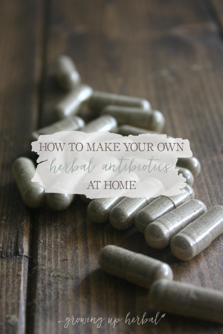 How To Make Your Own Herbal Antibiotics At Home | Growing Up Herbal | Want to learn how to make your own "herbal antibiotics" at home using antimicrobial herbs? Here's how!
