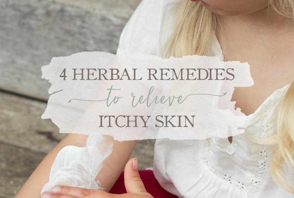 4-herbal-remedies-to-relieve-itchy-skin-growingupherbal