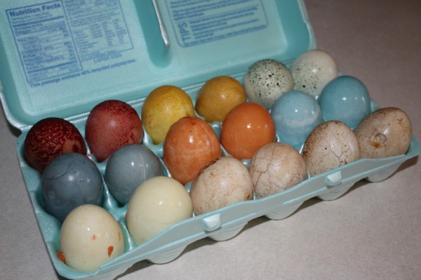 drying eggs