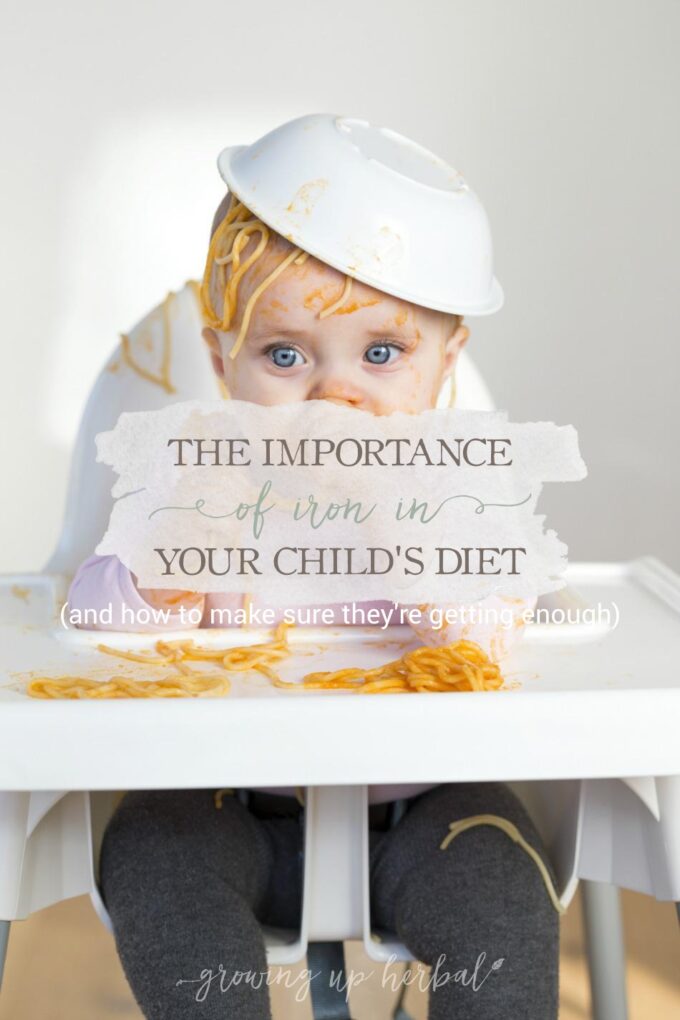 Understanding The Importance Of Iron In Your Child's Diet & How To Make Sure They're Getting Enough | Growing Up Herbal | Understand why iron is an important part of your child's diet and how to make sure they're getting enough.