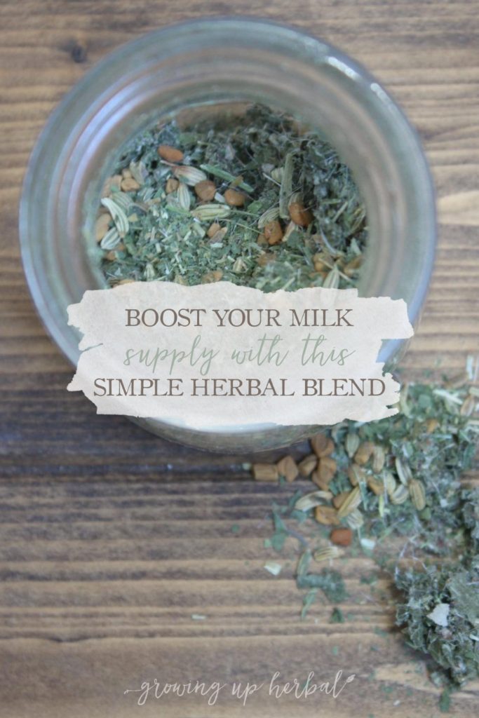 How To Boost Your Milk Supply With This Simple Herbal Blend | Growing Up Herbal | If you're a nursing mama and looking for a natural way to boost your milk supply, this herbal blend may be just the thing to help you and your milk supply.