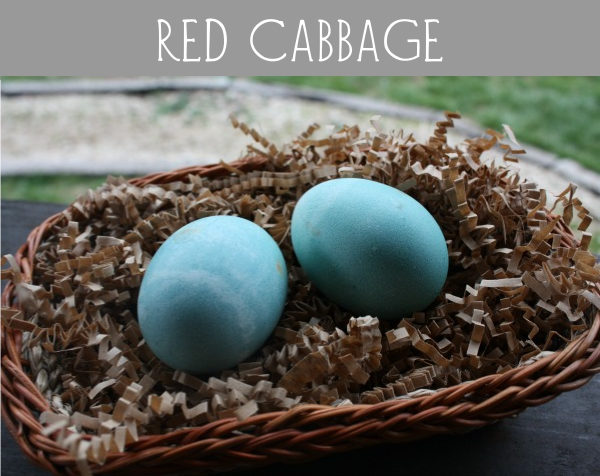 red cabbage eggs
