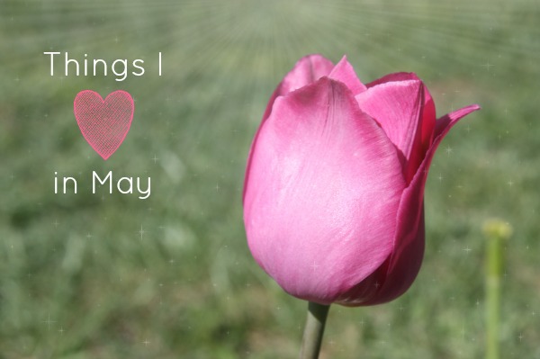 Things I Love In May