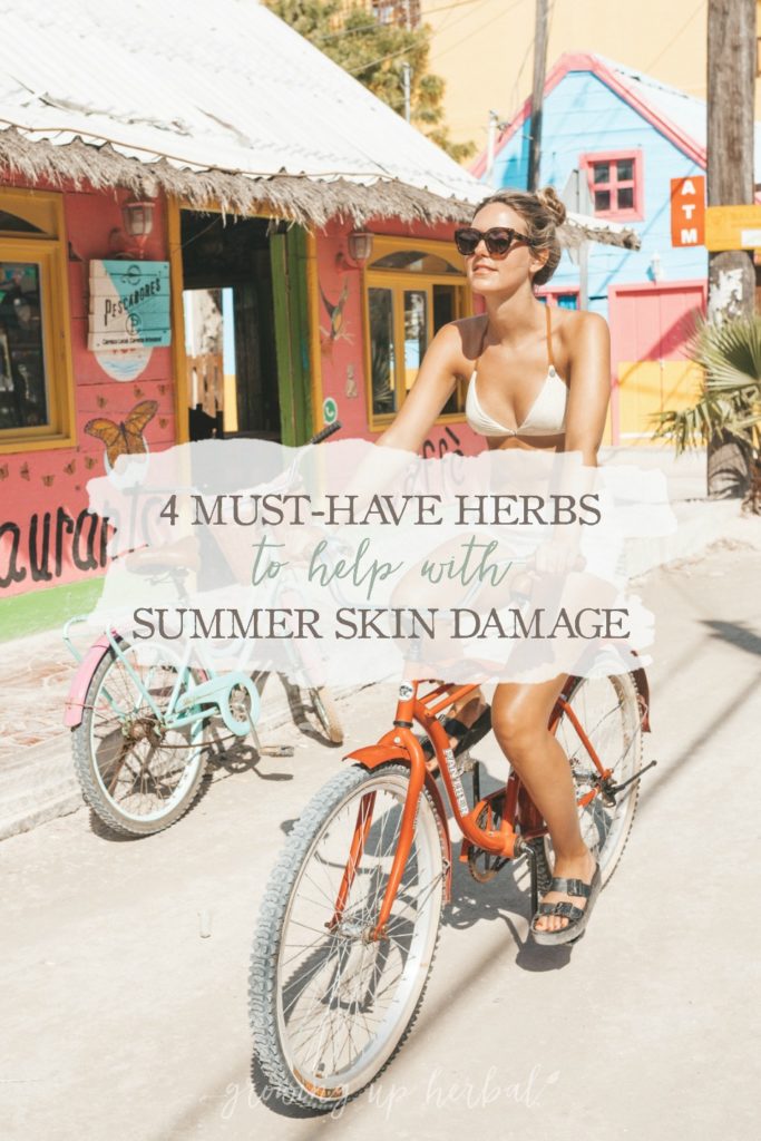 4 Must-Have Herbs to Help with Summer Skin Damage | Growing Up Herbal | Looking for help for sun damaged skin this summer? Here are four herbs that can come to your rescue!