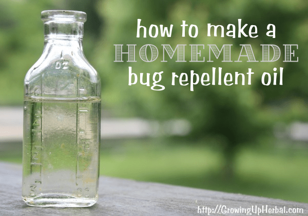 homemade bug repellent oil