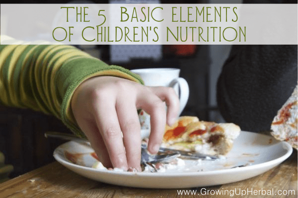 The 5 Basic Elements of Children's Nutrition | GrowingUpHerbal.com | When it comes to keeping kids healthy, diet and nutrition are the first step!