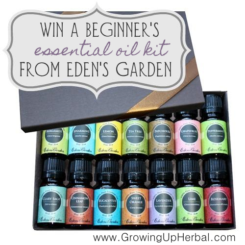 Win A Beginners Kit Of Eden's Gardens Essential Oils - Growing Up Herbal