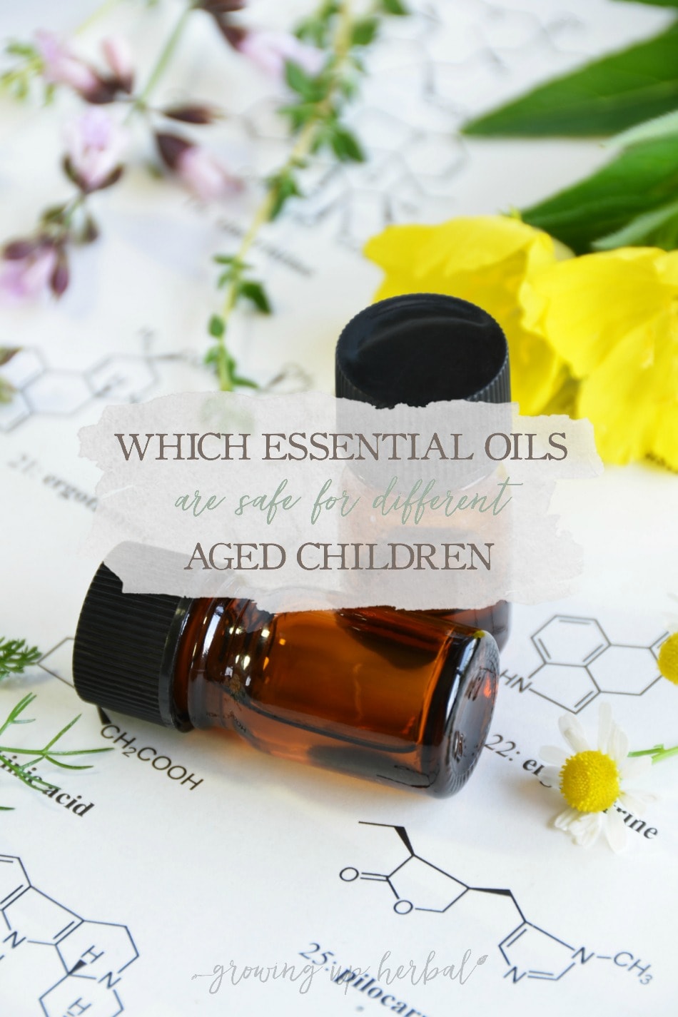 Which Essential Oils Are Safe For Different Aged Children | Growing Up Herbal | Learn which essential oils are safe for different aged children in this post!