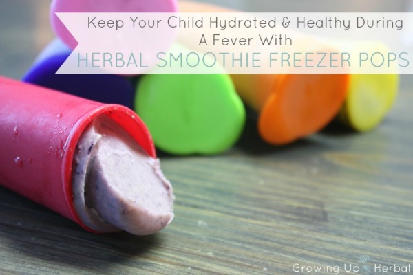 Keep Your Child Hydrated & Happy During A Fever With Herbal Smoothie Freezer Pops