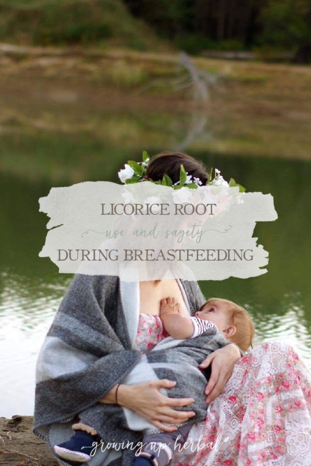 The 411 on Licorice Root Safety During Breastfeeding Growing Up Herbal
