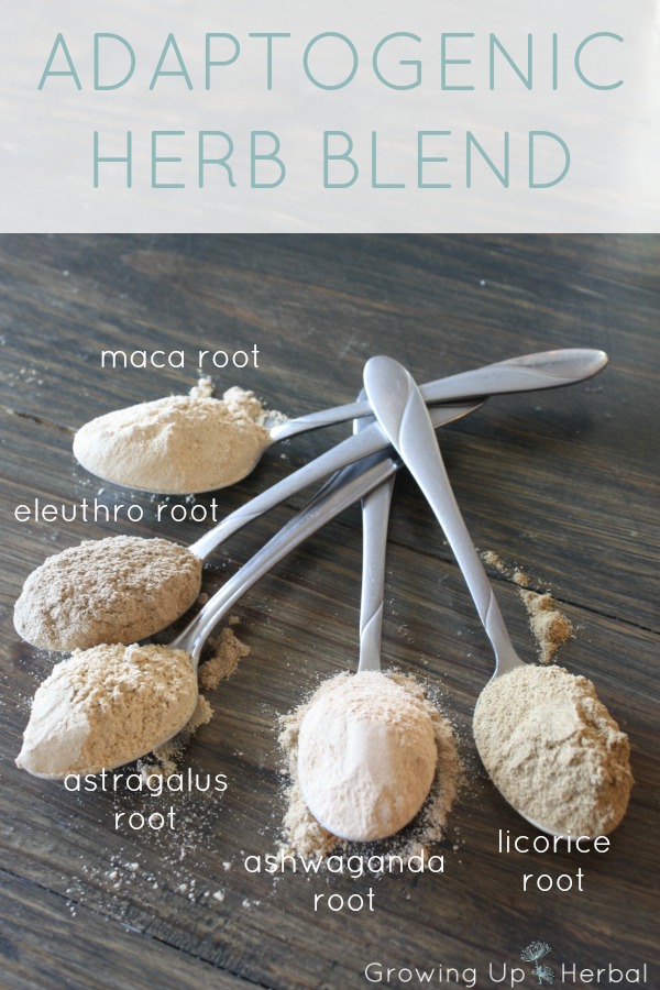Boost Your Child's Body With This Adaptogenic Herb Blend | GrowingUpHerbal.com - help your child deal with sickness and stress with this DIY adaptogenic herb blend. It tastes great!