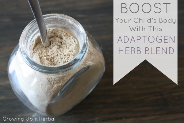 Boost Your Child's Body With This Adaptogenic Herb Blend | GrowingUpHerbal.com - help your child deal with sickness and stress with this DIY adaptogenic herb blend. It tastes great!