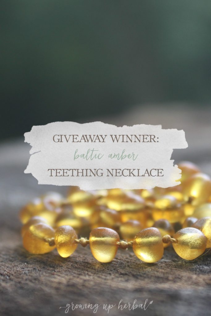 Hazelaid Giveaway Winner | Growing Up Herbal | Who won the Baltic amber teething necklace? Find out here!