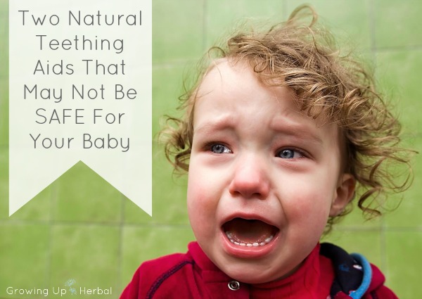 Two Common Natural Teething Aids That May Not Be Safe For Your Baby | GrowingUpHerbal.com | These two commonly used "natural" teething aids may not be safe for your baby. Find out why!