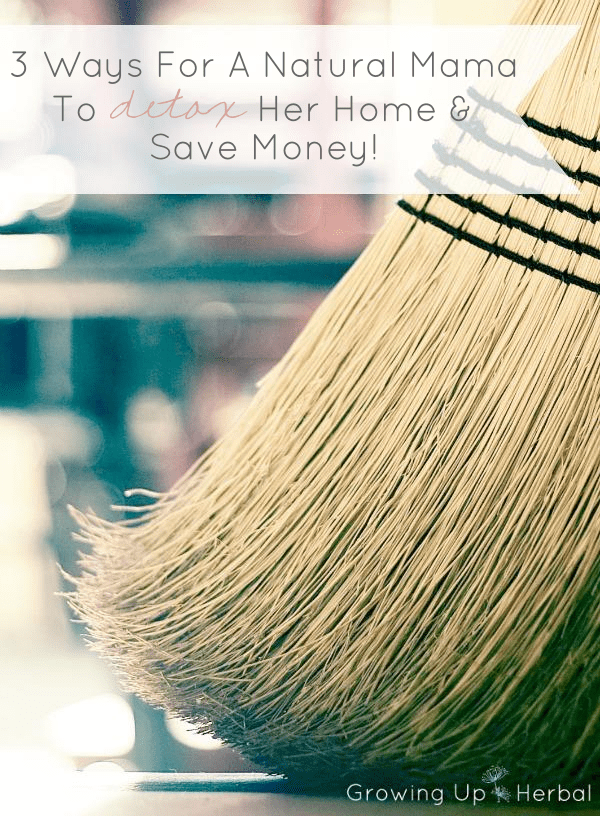 3 Ways For A Natural Mama To Detox Her Home And Save Money | GrowingUpHerbal.com | 3 easy ways to detox your home... naturally and safely.