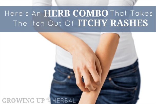 Here's An Herb Combo That Takes The Itch Out Of Itchy Rashes - Video | GrowingUpHerbal.com | Learn to identify these two must-have herbs to help with summer's itchy rashes!
