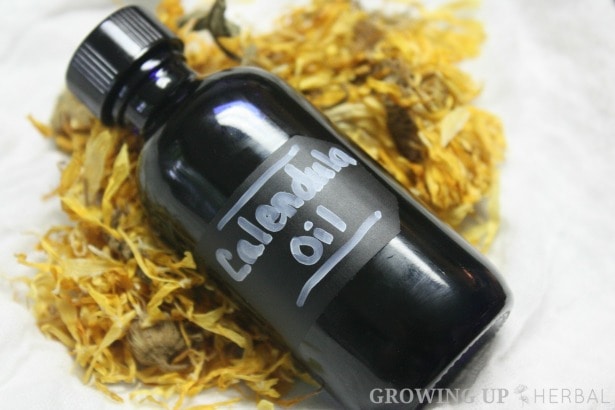 Learning Herbs: June Herb Challenge – Week 1 | GrowingUpHerbal.com | Primary Actions of Calendula, Calendula Infused Oil