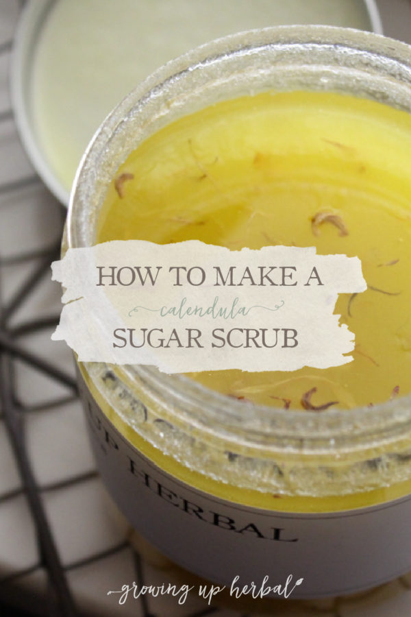 How To Make A Calendula Sugar Scrub - Growing Up Herbal