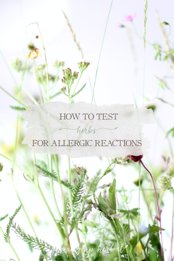 How To Test Herbs For Allergic Reactions Growing Up Herbal