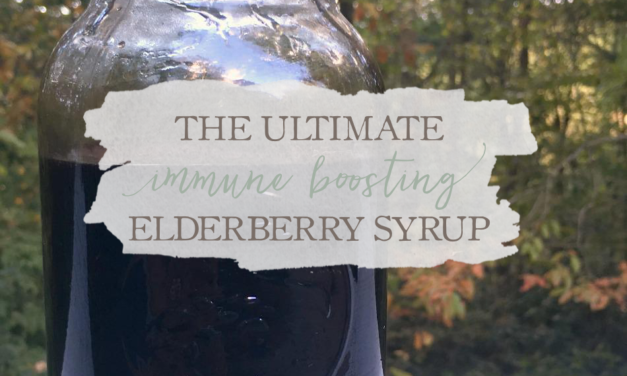 The Ultimate Immune Boosting Elderberry Syrup | GrowingUpHerbal.com | Boost your child's immune system before cold & flu season with this 3-in-1 elderberry syrup!