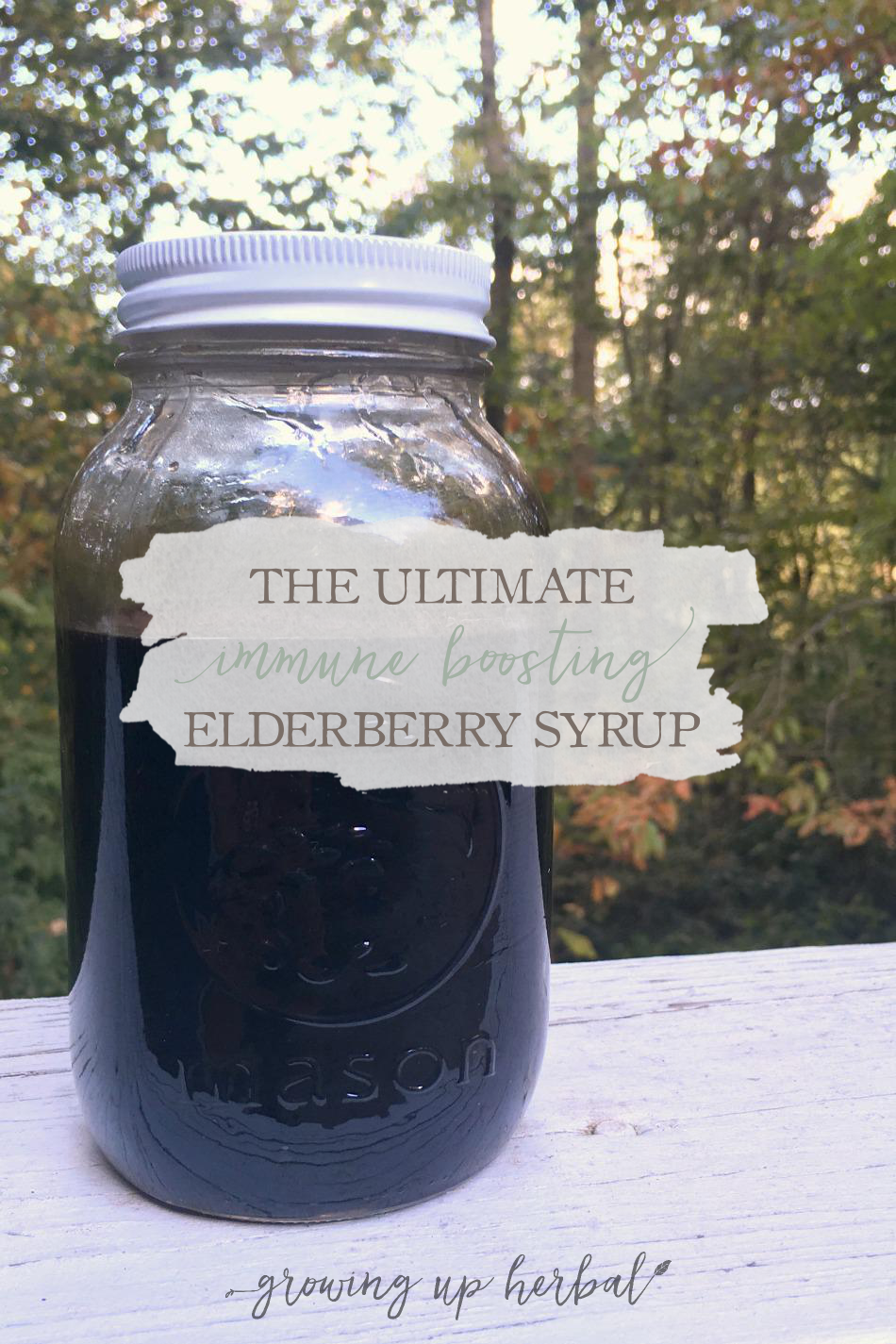 The Ultimate Immune Boosting Elderberry Syrup | GrowingUpHerbal.com | Boost your child's immune system before cold & flu season with this 3-in-1 elderberry syrup!