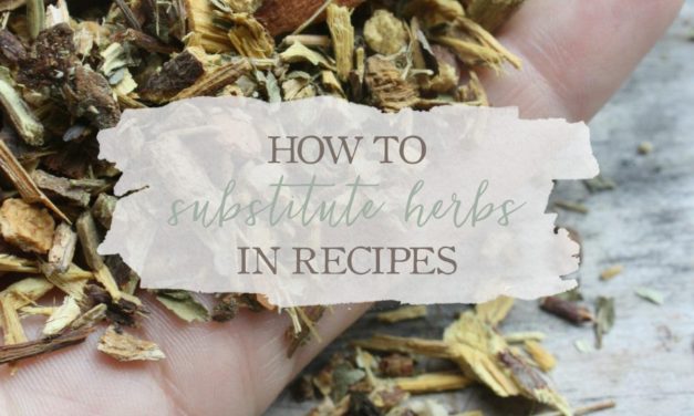 How To Substitute Herbs In Recipes | Growing Up Herbal | Missing an herb in a remedy? Here's how to substitute one herb for another.