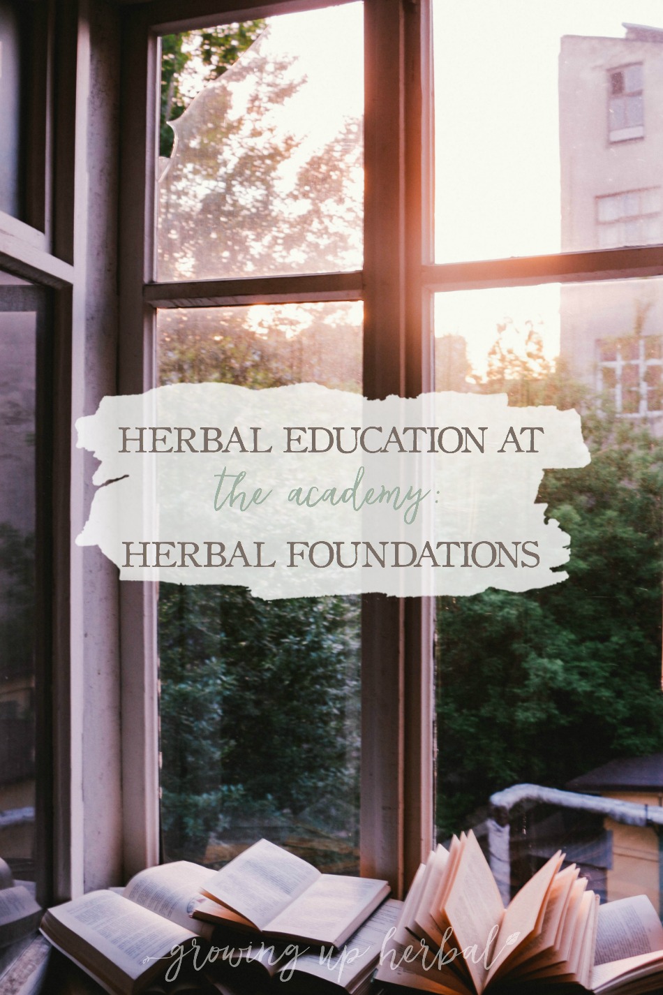 Herbal Education At The Academy: Herbal Foundations | Growing Up Herbal | Interested in going to herbal school? Here's a sneak peek at the Herbal Academy's Intermediate herbal course!