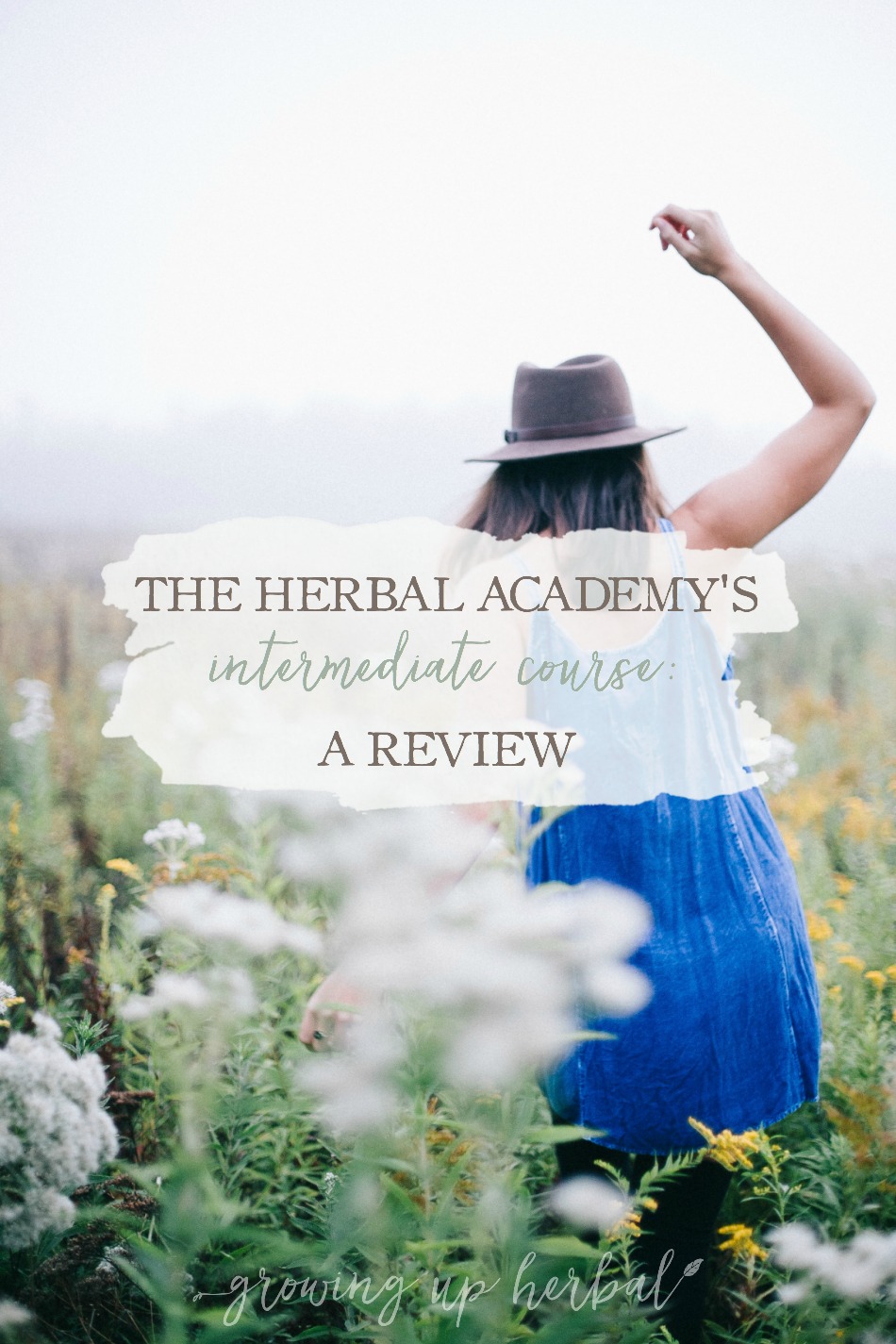The Herbal Academy's Intermediate Herbal Course: A Review | Growing Up Herbal | Ever thought about going to herbal school at the Herbal Academy? If you're curious and you'd like an inside look, check out my review of their Intermediate Herbal Course right here!