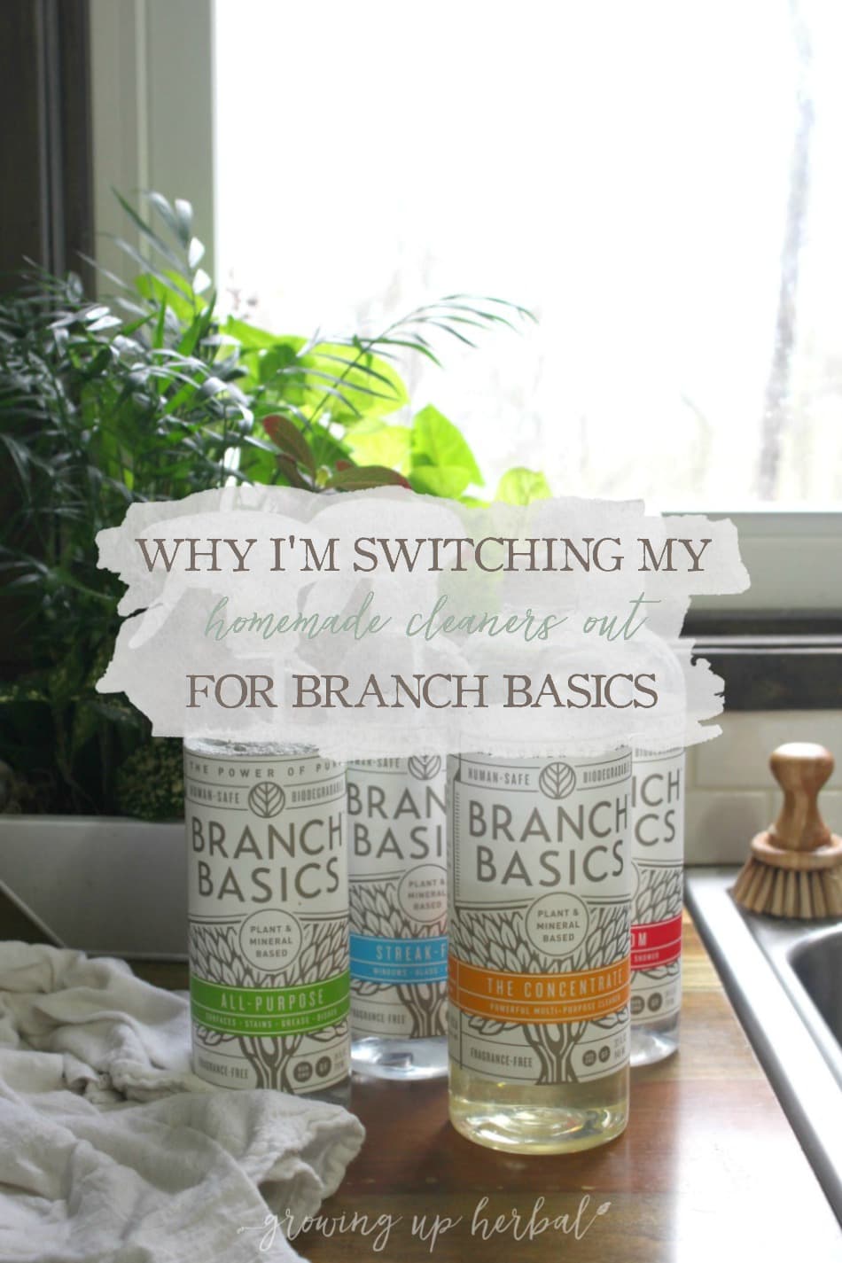 Why I'm Switching My Homemade Cleaners Out For Branch Basics Natural Cleaners | Growing Up Herbal | So you thought homemade natural cleaning recipes were simple? It's true. They are. It's keeping up with the many different cleaners that is overwhelming. Here's how I'm simplifying my natural cleaners.