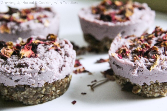 Rose Infused Cheesecakes - A Perfectly Healthy Valentine's Day Treat For Kids | Growing Up Herbal | Looking for a nutritious dessert for Valentine's Day? This rose-infused cheesecake is pleasing to the eye and the taste buds!