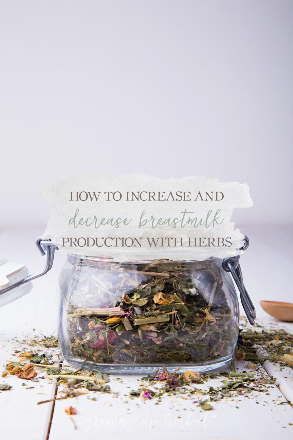 How To Increase and Decrease Breastmilk Production With Herbs | Growing Up Herbal | Need to increase or decrease your breastmilk supply? Here are herbs to help.