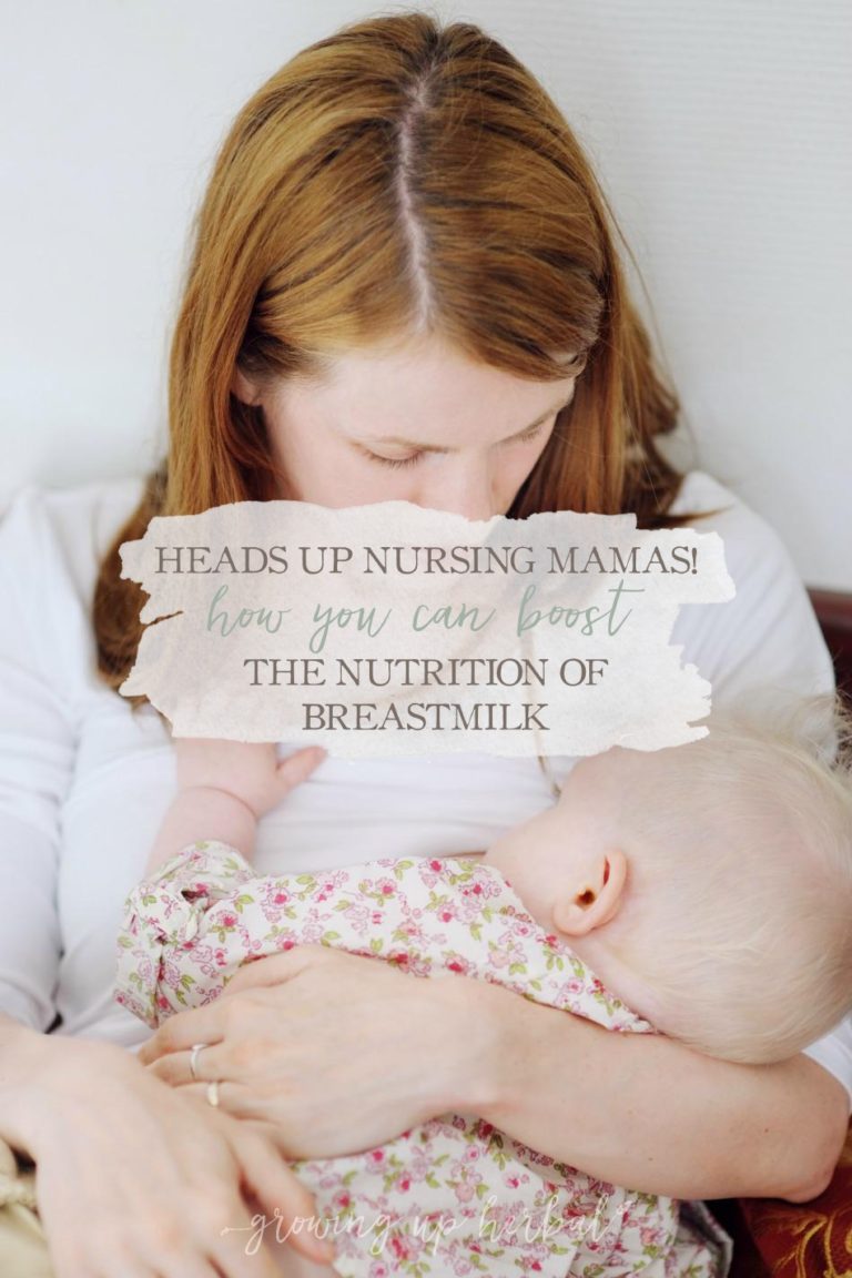 How To Boost The Nutrition Of Breastmilk Growing Up Herbal