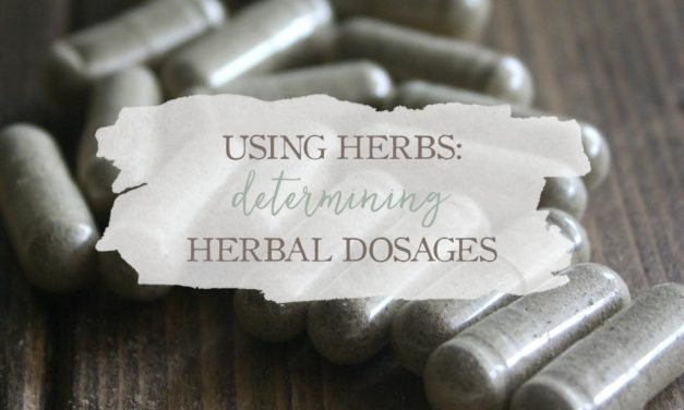 Determining Herbal Dosages | GrowingUpHerbal.com | Learn about herbal dosing practices so your feel confident using herbs.