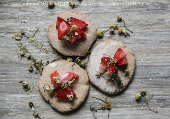 Chamomile Flower Tea Cookies | Growing Up Herbal | Delicious little chamomile infused tea cookies. A perfect companion to hot chamomile tea!