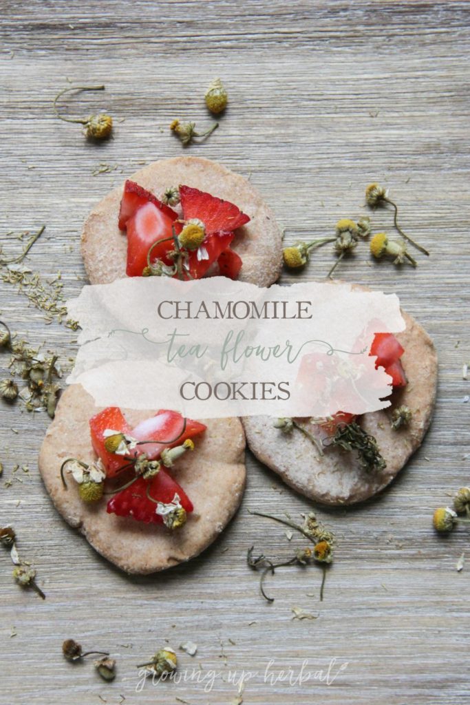 Chamomile Flower Tea Cookies | Growing Up Herbal | Delicious little chamomile infused tea cookies. A perfect companion to hot chamomile tea!