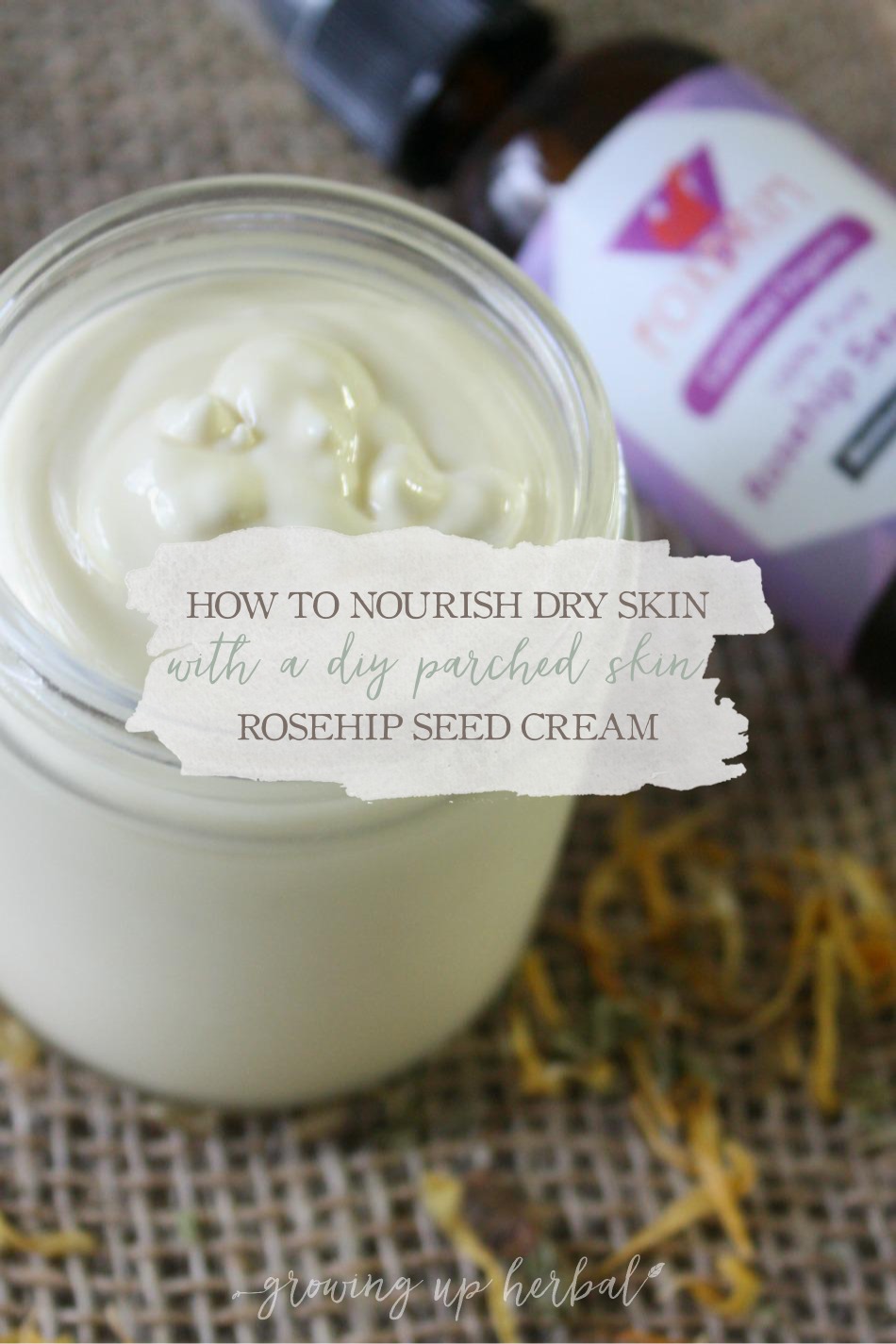 How To Nourish Dry Skin With A DIY Parched Skin Rosehip Seed Cream | Growing Up Herbal | Nourish dry skin with this specially formulated rosehip seed cream.