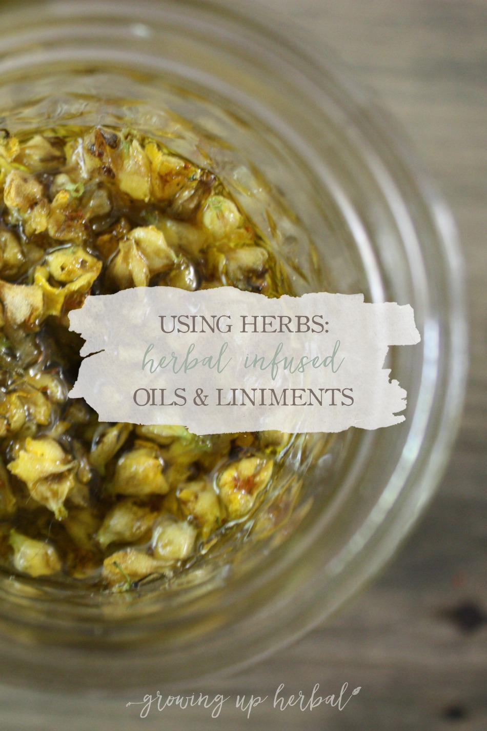 Using Herbs: Herbal Infused Oils and Liniments | Growing Up Herbal | Herbal infused oils and liniments are two easy to make preparations that have lots of great uses!