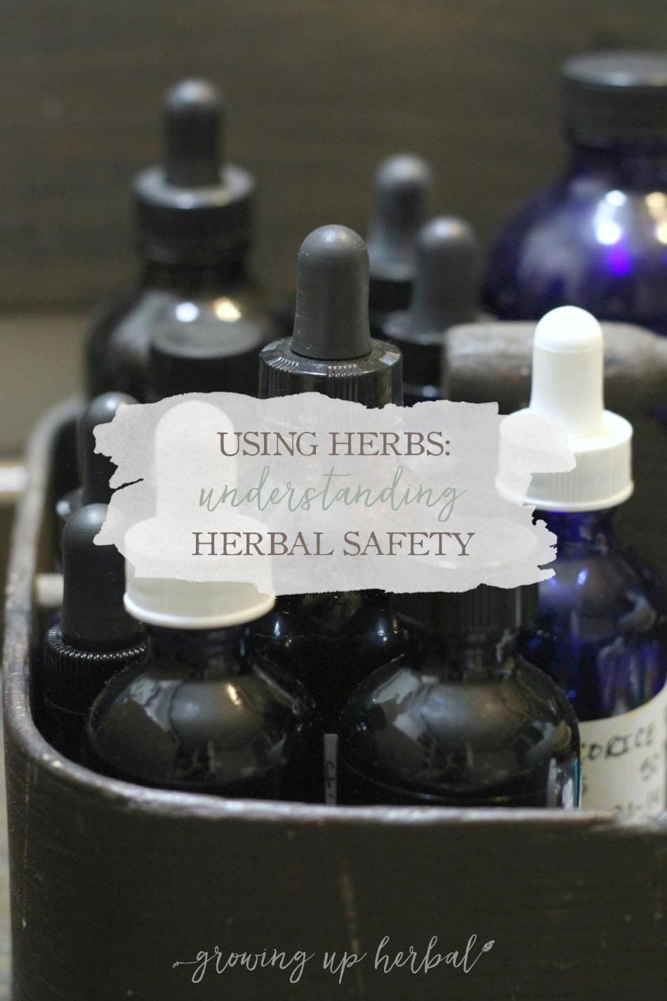 Understanding Herbal Safety | GrowingUpHerbal.com | Curious about the safety of using herbs for your family? Here are some answers. 