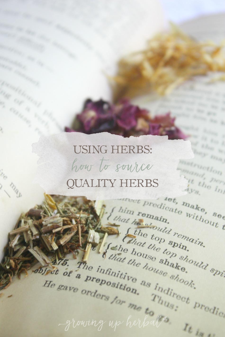 How To Source Quality Herbs | GrowingUpHerbal.com |Learn how to chose the best herbs for what you need.