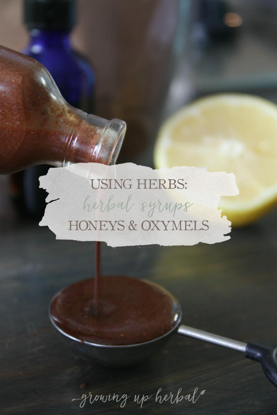 Using Herbs: Herbal Syrups, Honeys, & Oxymels | Growing Up Herbal | Today I'm talking about the sweeter tasting herbal preparations. How to make and use them, and so much more!