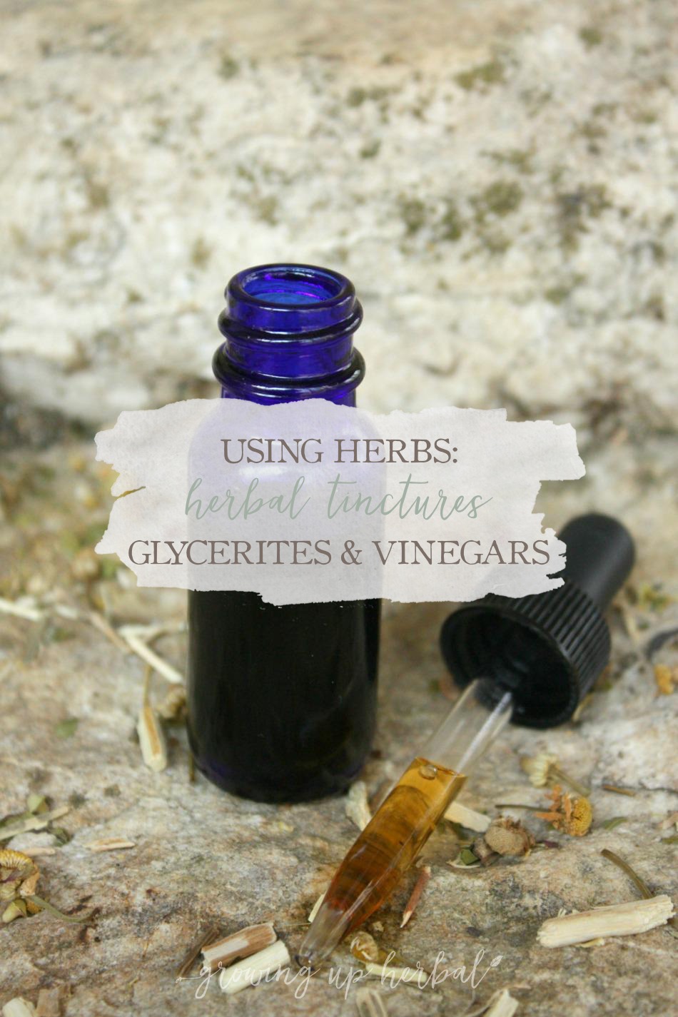 Using Herbs: Herbal Tinctures, Glycerites, And Vinegars | Growing Up Herbal | Learn all about herbal tinctures, glycerites, and vinegars in today's How To Start Using Herbs post!