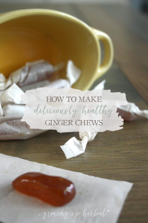 How To Make Deliciously Healthy Ginger Chews Growing Up Herbal 5093