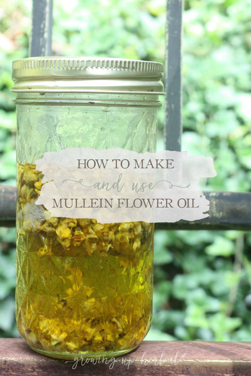 How To Make And Use Mullein Flower Oil | Growing Up Herbal | Mullein flower oil is a great oil to keep on hand as it can be used in many ways for your family's wellness.